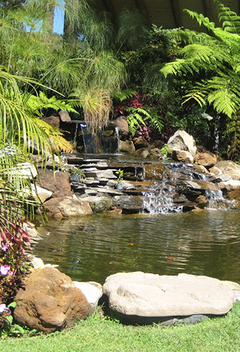 LH Pond Despues