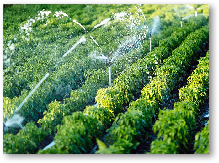 irrigation-system-in-function-2023-11-27-05-07-33-utc