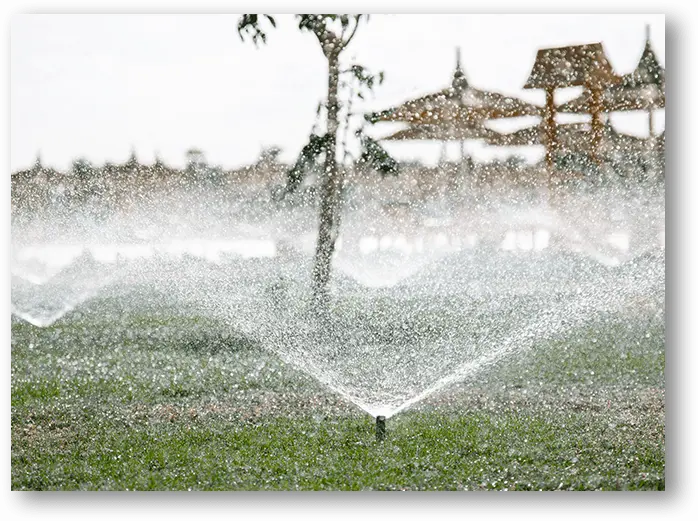 the-sprinkler-sprinkles-abundantly-on-grass-and-tr-2023-11-27-05-28-15-utc